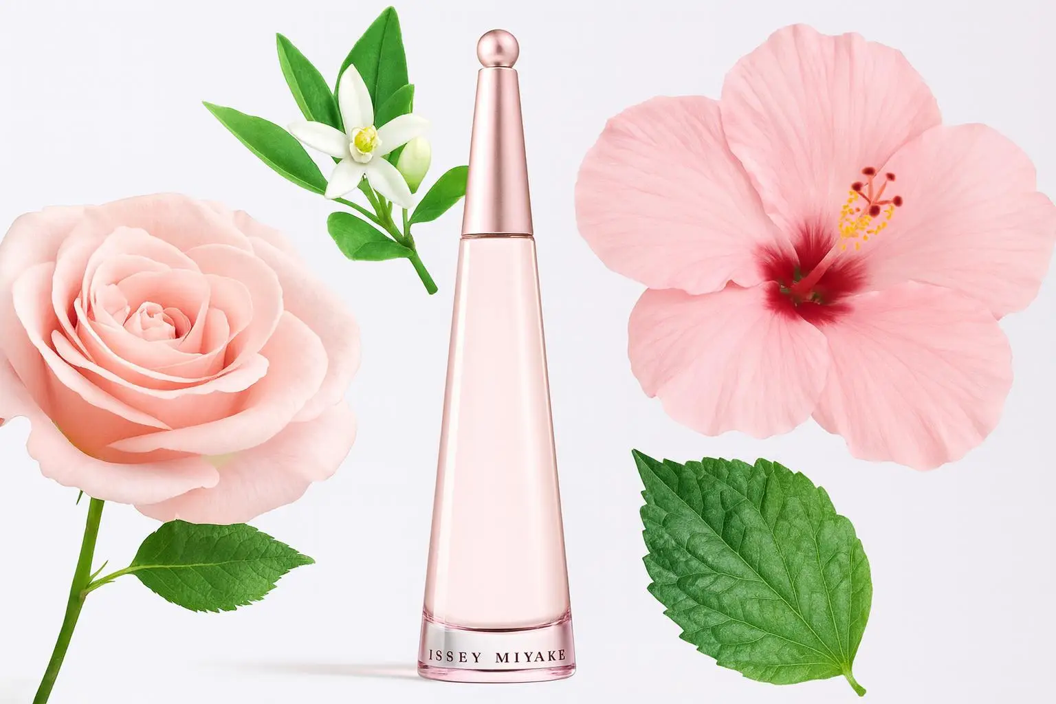 Духи Issey Miyake L`Eau D`Issey Florale for women Духи Issey Miyake L`Eau D`Issey Florale for women